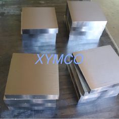 China Magnesium tooling plate, polished surface with fine flatness, cut-to-size supplier
